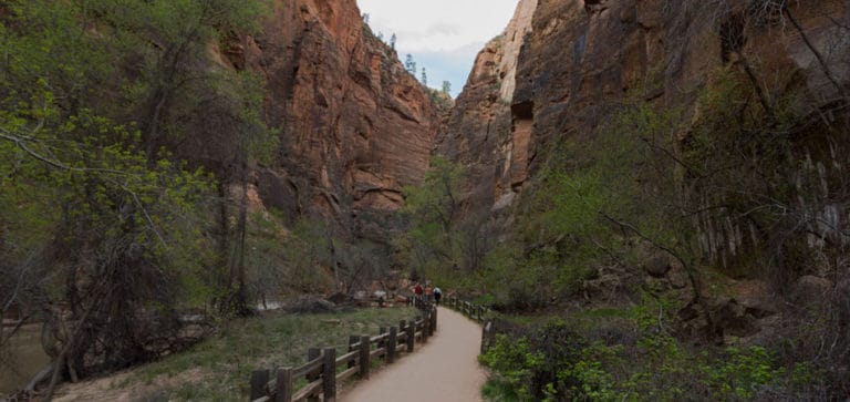 2 Dias no Zion National Park, em Utah