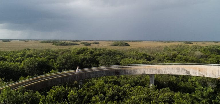 O fenomenal Shark Valley: conheça o Everglades perto de Miami