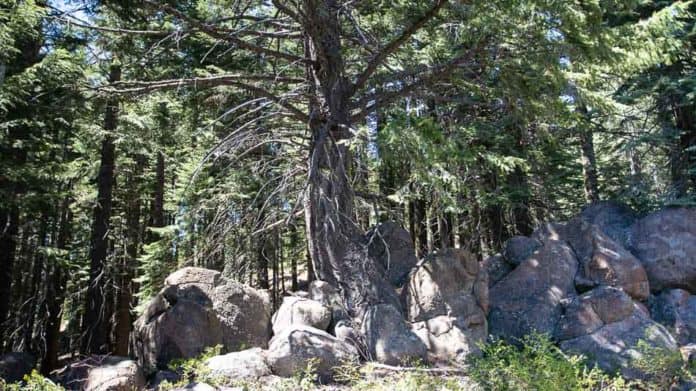 Os mistérios do Monte Shasta, a montanha mágica da Califórnia