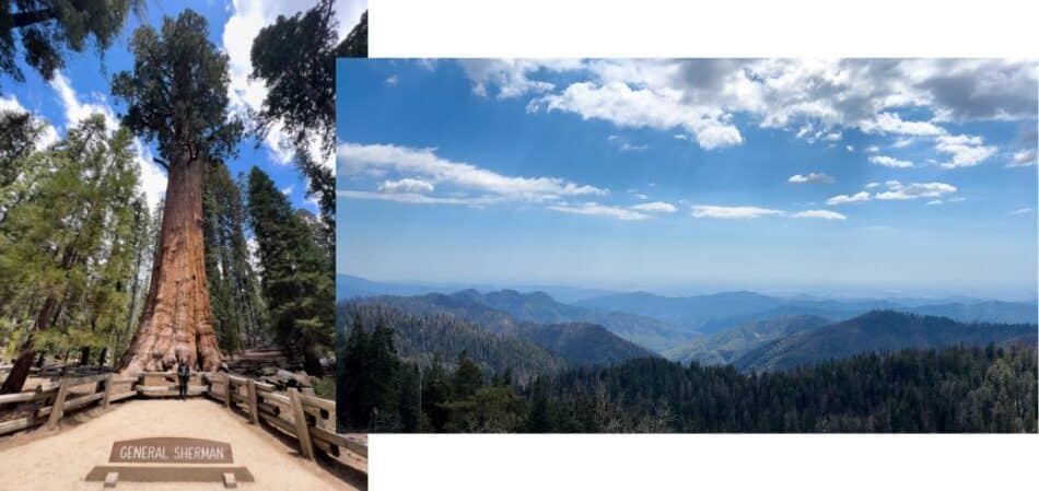 Sequoia gigante e vista panorâmica em dois parques nacionais americanos